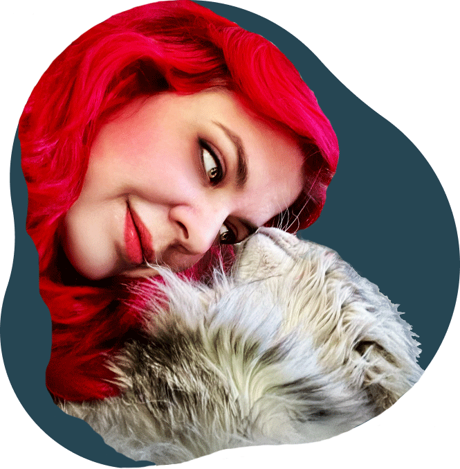 Awesome Cat Sitter - Your Dallas/Fort Worth Cat Sitter